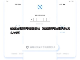 蝙蝠加密聊天暗语是啥（蝙蝠聊天加密失败怎么处理）