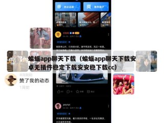 蝙蝠app聊天下载（蝙蝠app聊天下载安卓无插件稳定下载安安稳下载cc）
