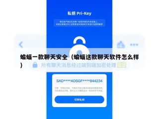 蝙蝠一款聊天安全（蝙蝠这款聊天软件怎么样）