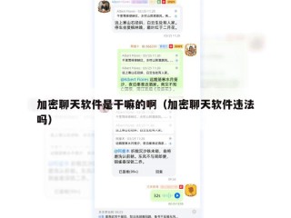 加密聊天软件是干嘛的啊（加密聊天软件违法吗）