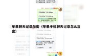 苹果聊天记录加密（苹果手机聊天记录怎么加密）