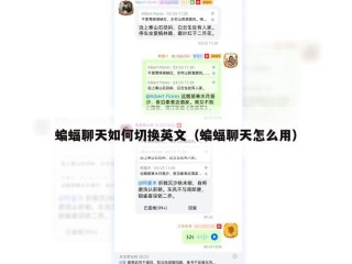 蝙蝠聊天如何切换英文（蝙蝠聊天怎么用）