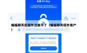 蝙蝠聊天在国外注册不了（蝙蝠聊天境外用户）