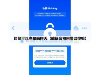 网警可以查蝙蝠聊天（蝙蝠会被网警监控嘛）