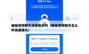 蝙蝠视频聊天清晰度高吗（蝙蝠视频聊天怎么转换摄像头）