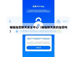 蝙蝠加密聊天安全中心（蝙蝠聊天真的加密吗）