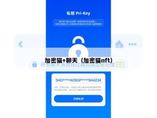 加密猫+聊天（加密猫nft）
