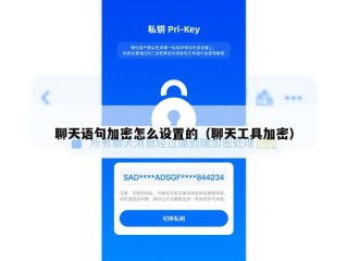 聊天语句加密怎么设置的（聊天工具加密）