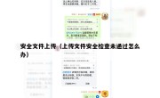 安全文件上传（上传文件安全检查未通过怎么办）