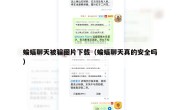 蝙蝠聊天被骗图片下载（蝙蝠聊天真的安全吗）