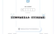 钉钉聊天加密怎么办（钉钉消息加密）