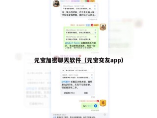 元宝加密聊天软件（元宝交友app）