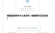 蝙蝠加密聊天什么意思呀（蝙蝠聊天怎么加密）