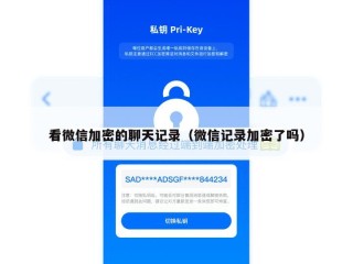 看微信加密的聊天记录（微信记录加密了吗）