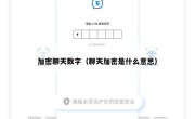 加密聊天数字（聊天加密是什么意思）