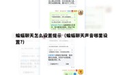 蝙蝠聊天怎么设置提示（蝙蝠聊天声音哪里设置?）