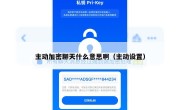 主动加密聊天什么意思啊（主动设置）