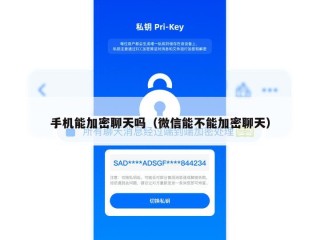 手机能加密聊天吗（微信能不能加密聊天）