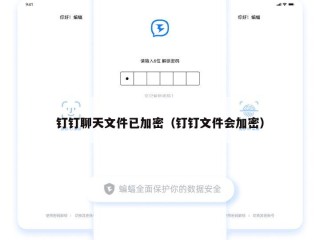 钉钉聊天文件已加密（钉钉文件会加密）