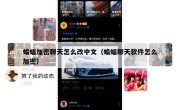 蝙蝠加密聊天怎么改中文（蝙蝠聊天软件怎么加密）