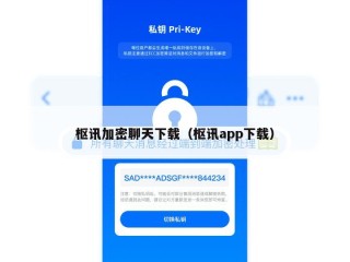 枢讯加密聊天下载（枢讯app下载）