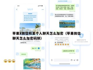 苹果X微信和某个人聊天怎么加密（苹果微信聊天怎么加密码锁）