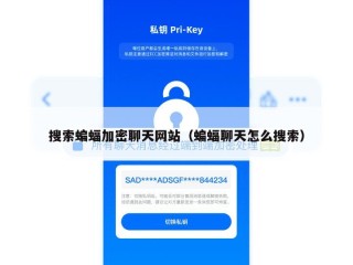 搜索蝙蝠加密聊天网站（蝙蝠聊天怎么搜索）