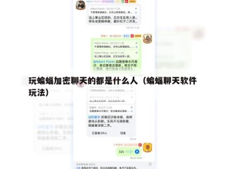 玩蝙蝠加密聊天的都是什么人（蝙蝠聊天软件玩法）