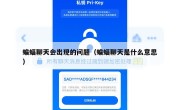 蝙蝠聊天会出现的问题（蝙蝠聊天是什么意思）