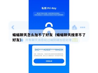 蝙蝠聊天怎么加不了好友（蝙蝠聊天搜索不了好友）