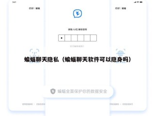 蝙蝠聊天隐私（蝙蝠聊天软件可以隐身吗）