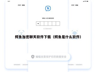 鳄鱼加密聊天软件下载（鳄鱼是什么软件）