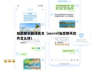 加密聊天翻译英文（secret加密聊天软件怎么样）