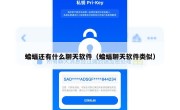蝙蝠还有什么聊天软件（蝙蝠聊天软件类似）