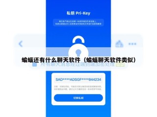 蝙蝠还有什么聊天软件（蝙蝠聊天软件类似）