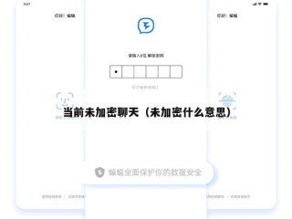 当前未加密聊天（未加密什么意思）