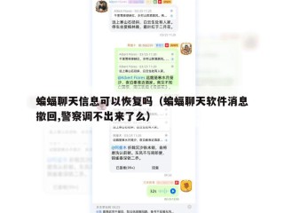 蝙蝠聊天信息可以恢复吗（蝙蝠聊天软件消息撤回,警察调不出来了么）