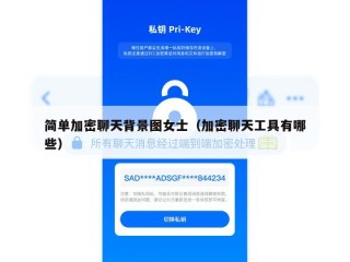 简单加密聊天背景图女士（加密聊天工具有哪些）