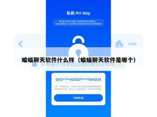 蝙蝠聊天软件什么样（蝙蝠聊天软件是哪个）