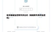 能和蝙蝠加密聊天其名的（蝙蝠聊天真的加密吗）