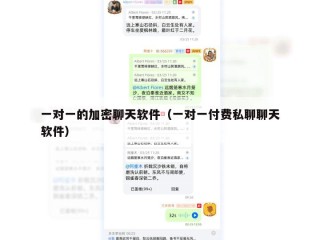 一对一的加密聊天软件（一对一付费私聊聊天软件）