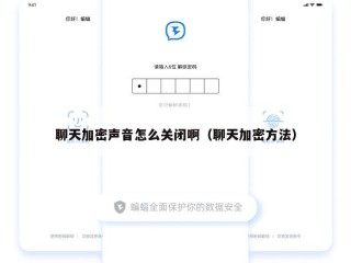 聊天加密声音怎么关闭啊（聊天加密方法）
