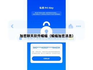 加密聊天软件蝙蝠（蝙蝠加密消息）