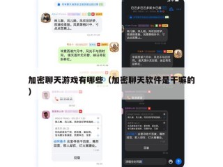 加密聊天游戏有哪些（加密聊天软件是干嘛的）