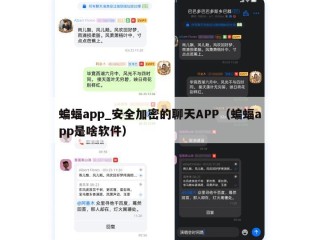 蝙蝠app_安全加密的聊天APP（蝙蝠app是啥软件）
