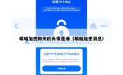蝙蝠加密聊天的头像是谁（蝙蝠加密消息）