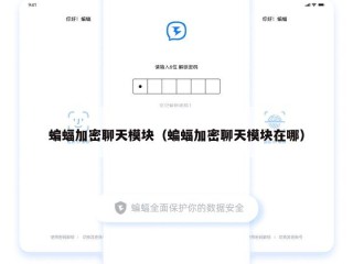 蝙蝠加密聊天模块（蝙蝠加密聊天模块在哪）