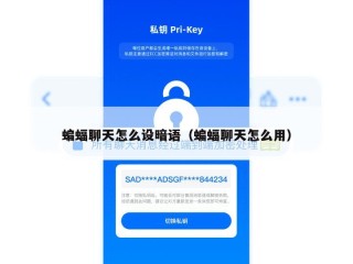 蝙蝠聊天怎么设暗语（蝙蝠聊天怎么用）