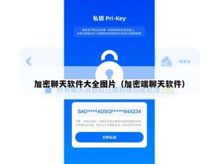 加密聊天软件大全图片（加密端聊天软件）