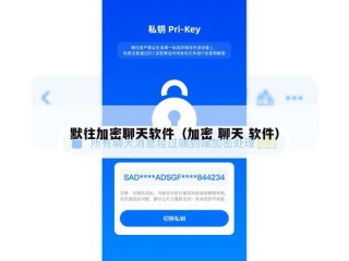 默往加密聊天软件（加密 聊天 软件）